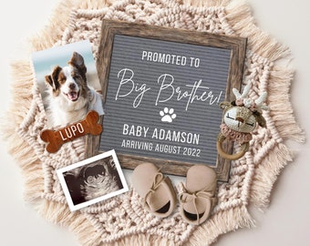 Digital Pregnancy Announcement, Promoted to Big Brother Pregnancy Announcement, Baby Announcement DOG theme, Pregnancy Reveal