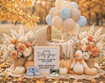 May include: A fall-themed announcement with a wicker bassinet, pumpkins, flowers, and balloons. A sign reads "A Little Silly Goose is About to Be on the Loose!" with the baby's name and due date. A plush duck is also present.