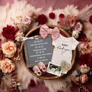 IVF Girl Pregnancy Announcement, Boho Fall Baby Girl Reveal Template for Social Media, Digital IUI Baby Announcement, Journey to Baby Reveal
