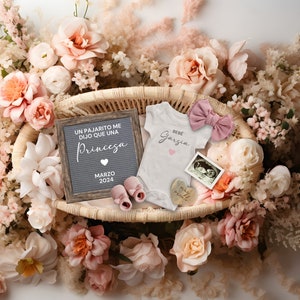 Boho Girl Embarazo Announcement SPANISH, Baby Girl Reveal Social Media, Anuncio de Embarazo, Un Pajarito me dijo que una princesa