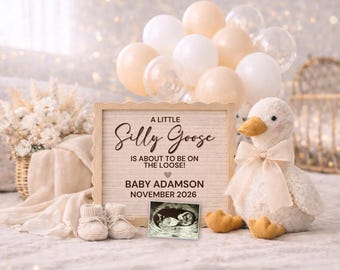 May include: A charming pregnancy announcement featuring a plush goose, balloons, and a sign that reads "A Little Silly Goose is About to Be on the Loose!" with the baby's name and due date. Includes baby booties and an ultrasound image.