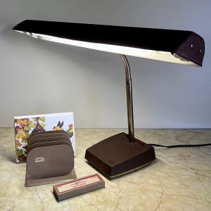 May include: A brown desk lamp with a long, horizontal shade and a flexible metal neck, positioned next to a beige metal file organizer containing a card with a bird and leaf illustration, and a small rectangular box labeled Cushioned Labels.