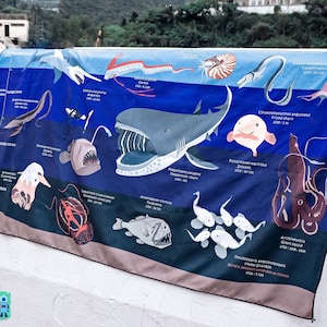 CLEARANCE - Deep sea creatures dry towel (microfiber)