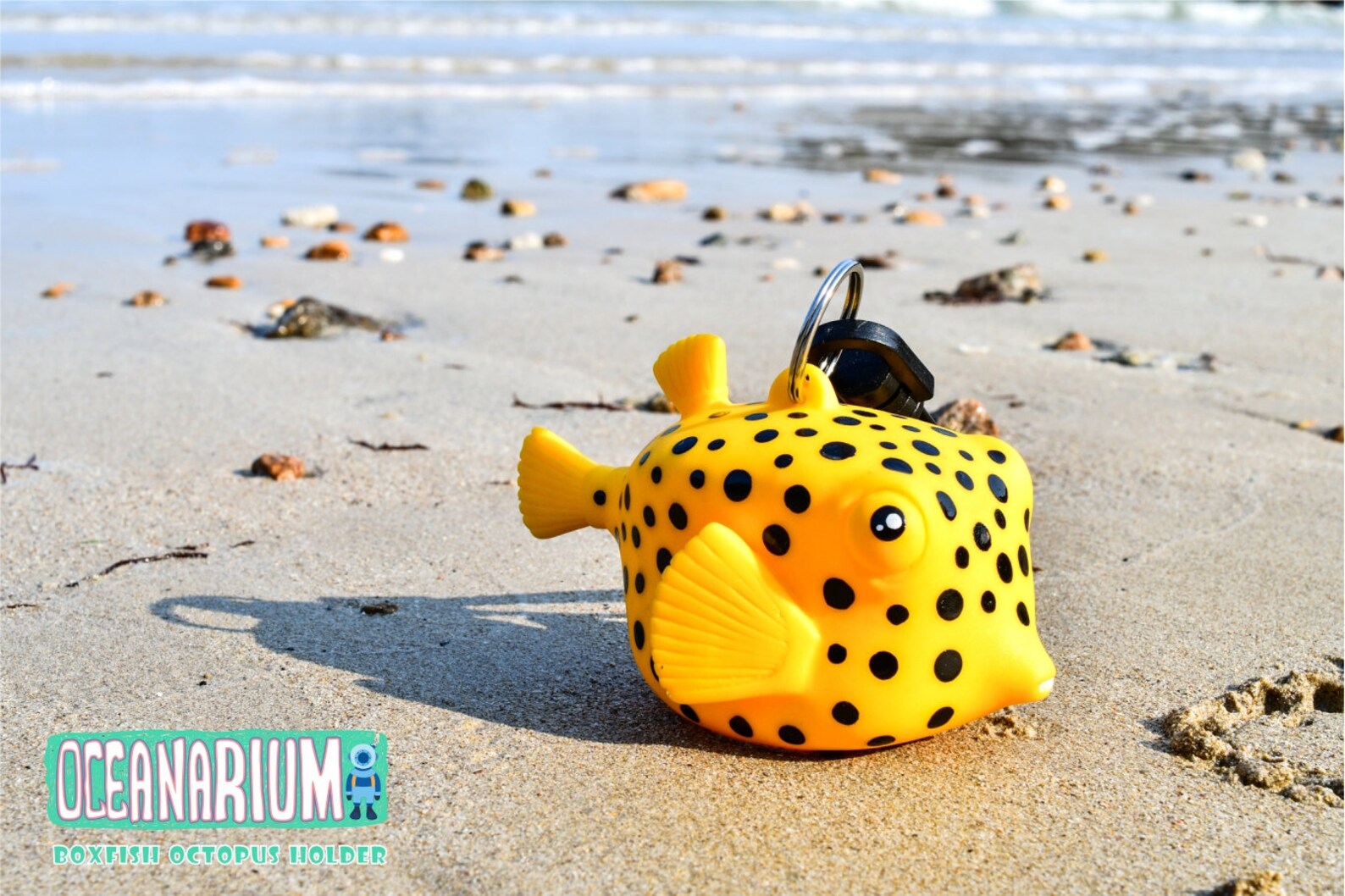 Boxfish Octopus Holder Etsy