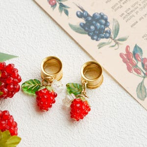 May include: Gold-colored ear gauges with dangling red raspberry charms. Each charm features a detailed red berry, green leaf, and small white beads. The background includes botanical illustrations and text.