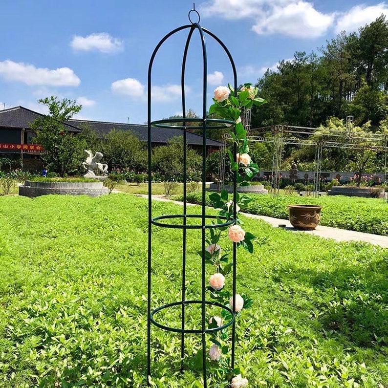 6 Ft Garden Trellis Outdoor Trellis Rose Trellis Clematis Etsy Canada