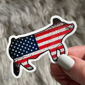 Sticker cochon d&#39;exposition de drapeau américain | Montrez l&#39;autocollant de porc | autocollant de porc | Montrez l&#39;autocollant de porc | Sticker exposition d&#39;actions | Sticker bétail