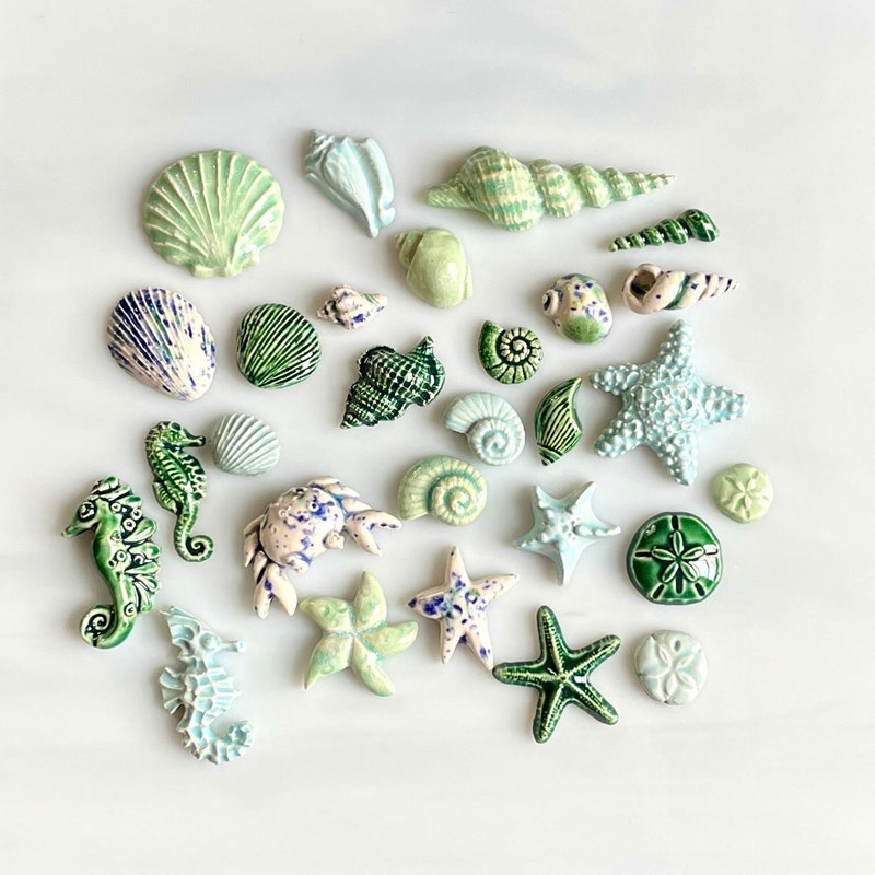 Sea Shell Tiles - Etsy