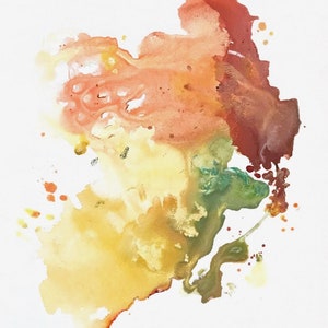 The Spectrum of Life