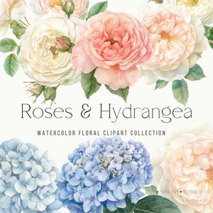 Aquarell Rosen Hortensie Clipart Hochzeit Clipart Aquarell Blumen Clipart Vorgefertigte Clipart