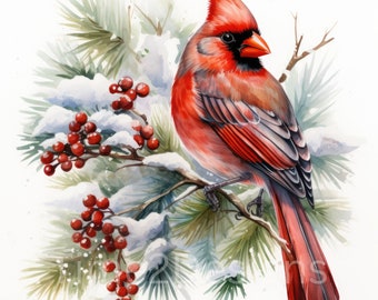 Chrsitmas Red Cardinal Clipart 12 JPG, Junk Journals, Scrapbooks, Winter Clipart, Card Making, Digital Download, Commercial Use