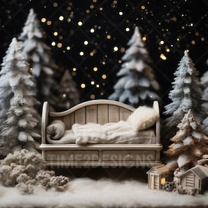 Winter Christmas Newborn Digital Backdrop Photography Composite Digital Backdrop Studio Backdrop for Newborn Christmas Photoshop Overlay