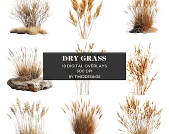 Dry Grass Overlays Transparent Background Real Grass Overlays Photoshop Overlays