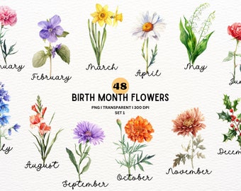 Clipart fleurs 48 mois de naissance, PNG, ensemble aquarelle, aquarelle florale PNG, kit fleur mois de naissance Clipart aquarelle