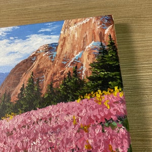 Champ de fleur de falaise de montagne de peinture acrylique image 3