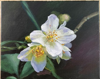 White Camellia Flower Original Painting