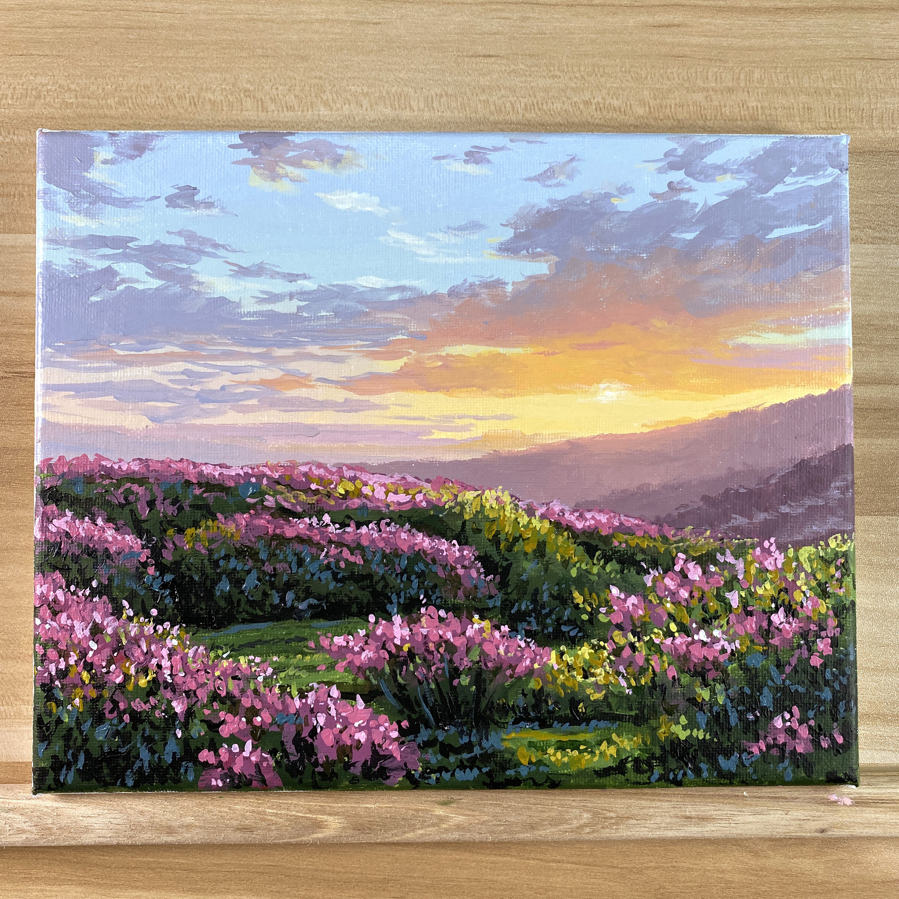 Acrylic Painting Landscape: A Field of Daisies at Sunset Art