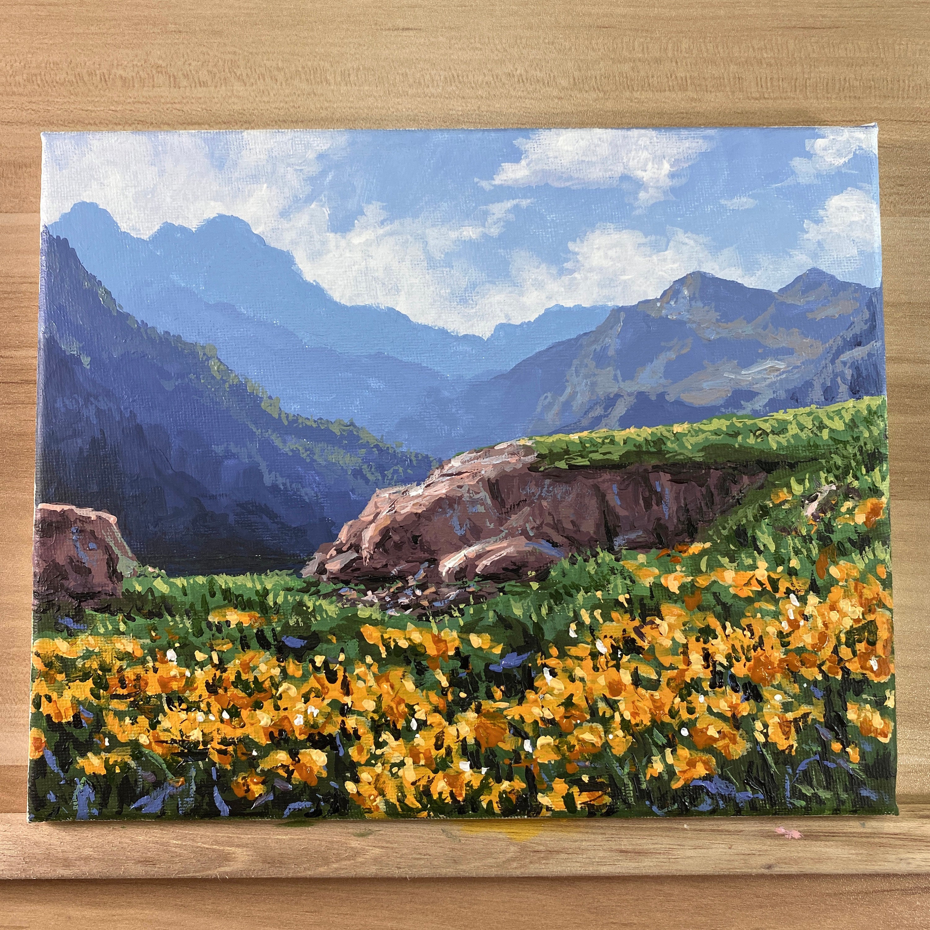 風景画 山と花畑 アクリル　スプレーアート 風景画 山と花畑 アクリル スプレーアート