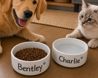 Personalized Pet Bowl: Handmade Ceramic Cat/Dog Food Dish
