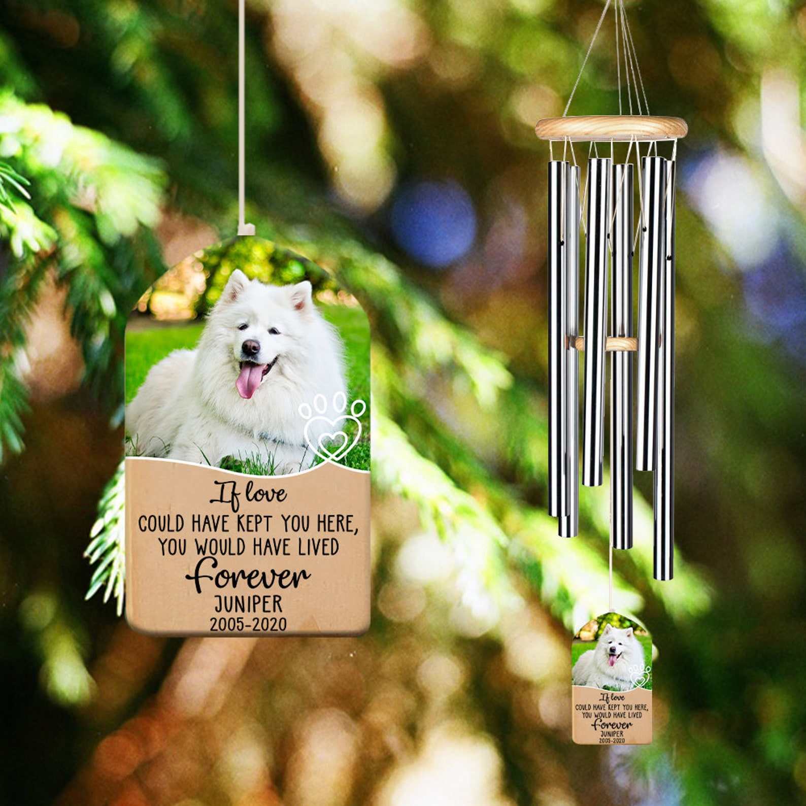 Pet Memorial Wind Chimes Photo Dog Loss Gift Bereavement Etsy
