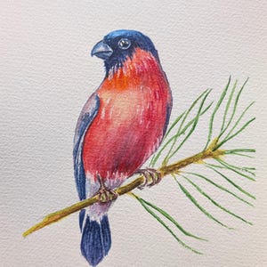 Original Aquarell Malerei eines Dompfaffs, Kleiner Vogel, Handgemalte Wildtier Illustration, Einzigartiges Geschenk