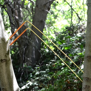 May include: Two long, thin, gold-colored rods are attached to a tree trunk. The rods are angled upwards and away from the trunk. The background is a blurred image of green foliage.