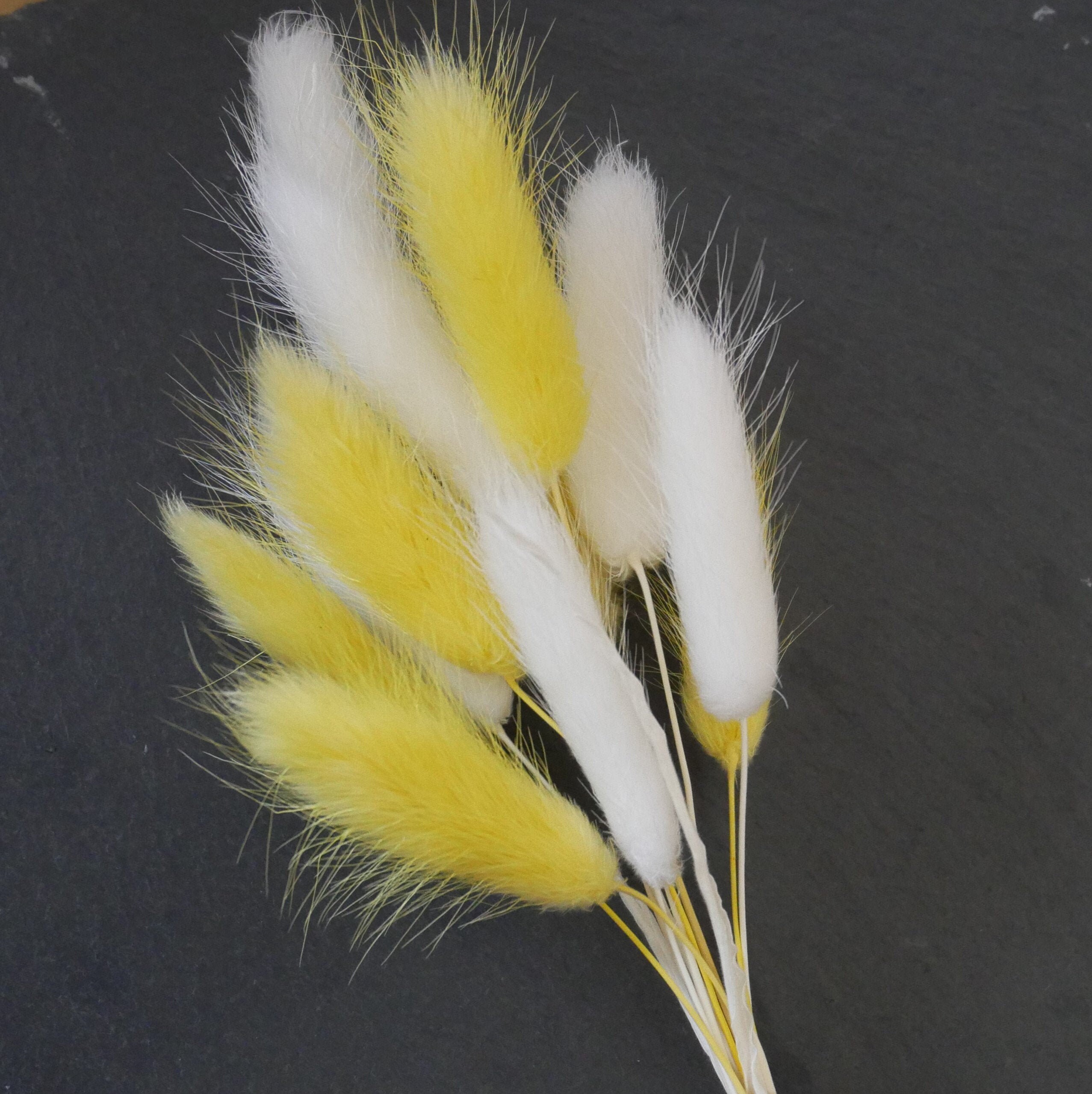 10 Mixed Bunny Tails With Vase Wilderlust Etsy