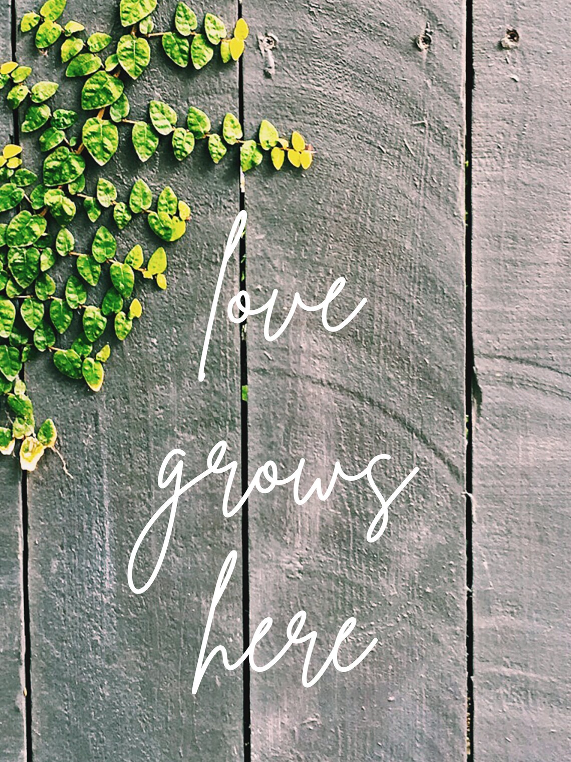 Love Grows Here Printable Wall Art Etsy
