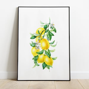 Printable wall art Lemons Print Kitchen Wall Decor Watercolor Lemons Kitchen art Lemon tree branch  Printable Lemons Poster
