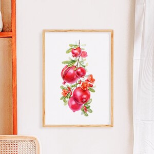 DIGITAL Pomegranate poster Punica granatum Botanical print Kitchen art poster Home decor Wall decor print Pomegranate blossom