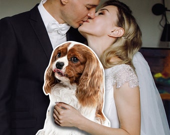 May include: A couple kissing with a Cavalier King Charles Spaniel dog in front of them. The dog is brown and white with long ears and a long tail.
