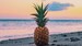 Pineapple Sunrise Fragrance Oil 