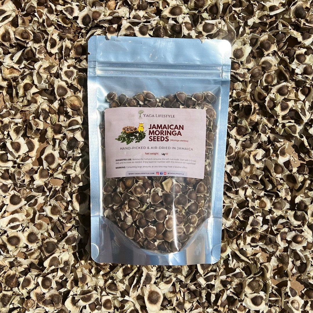 Jamaican Moringa Seeds 4 Oz Approx 320 Seeds Etsy