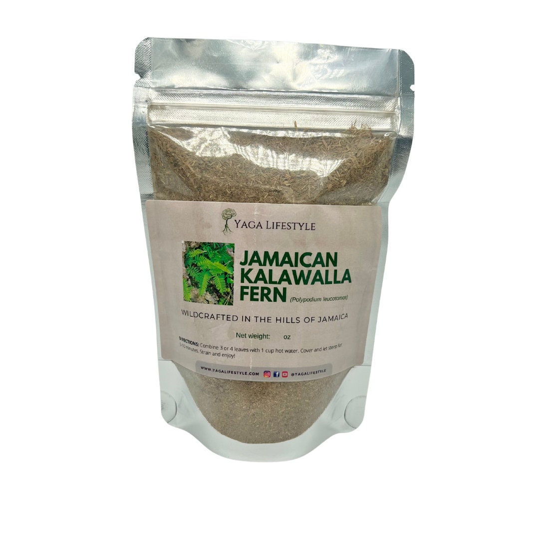 Herbe jamaïcaine de kalawella Calaguala Polypodium sp. 2 oz de
