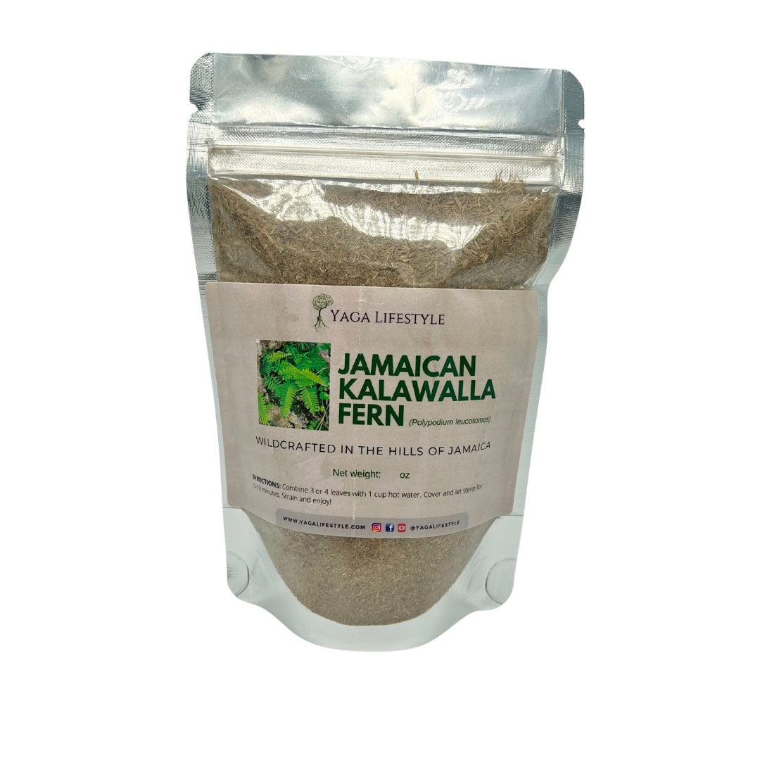 Jamaican Kalawalla Herb Calaguala Polypodium Sp. 2 Oz Coarse Powder Etsy