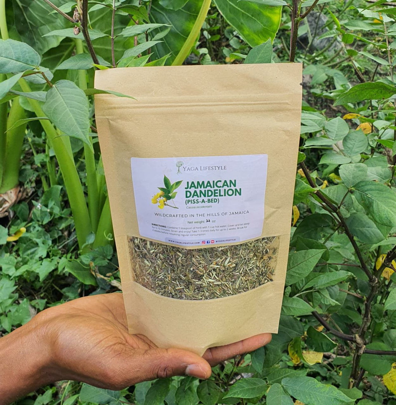 Jamaican Dandelion Kidney Cleanse 4 oz Etsy