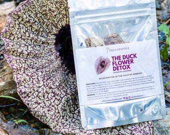 The Duck Flower Detox - Everything You need to know - Uses