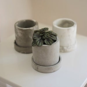Betonnen bloempot | Cactus | Sappig | Plantenbak | Monochroom plantenbak | Boho-decor | Boho-plantpot