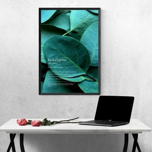 Eucalyptus Poster Wall Decor Photo Duden Green Art Art Leaves