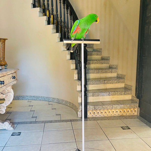 Training For Parrots. - 44" perch for small, and medium parrots.