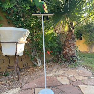 Parrot Training Stand – 44&quot; T-Perch for Small & Medium Birds, 5-Pound Base, Black or White – FREE 2-3 Day Shipping Parrot Accessories.