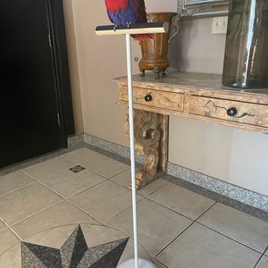 Training T-Perch for Parrots – 44" for Small & Medium Birds, White or Black, 5-Pound Base, FREE 2-3 Day Shipping – No More Prisoner