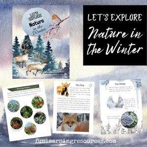 May include: A printable educational resource for kids about nature in the winter. The colorful illustrations feature a robin, reindeer, fox, and evergreen trees. The text includes the words "Let's Explore Nature in the Winter".