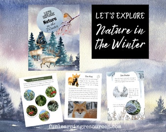 Let's Explore Nature in the Winter