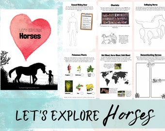 Let's Explore Horses