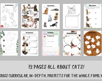 Let's Explore Cats Activities