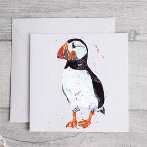 Aquarel papegaaiduiker kaart