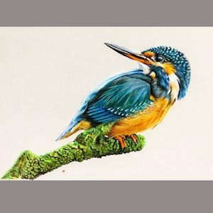 Kingfisher Painting Original Bird Art Painting Handmade Wall Art Wall Decor