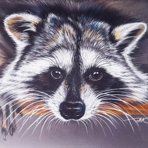 Raccoon Portrait Painting: Original Pastel Animal Art, 8x12 Inches