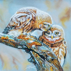Owls Painting Birds Original Art Birds Pastel Painting Wall Art 12 by 12 inches by PaintingVIKArt (Shipping from Slovakia)